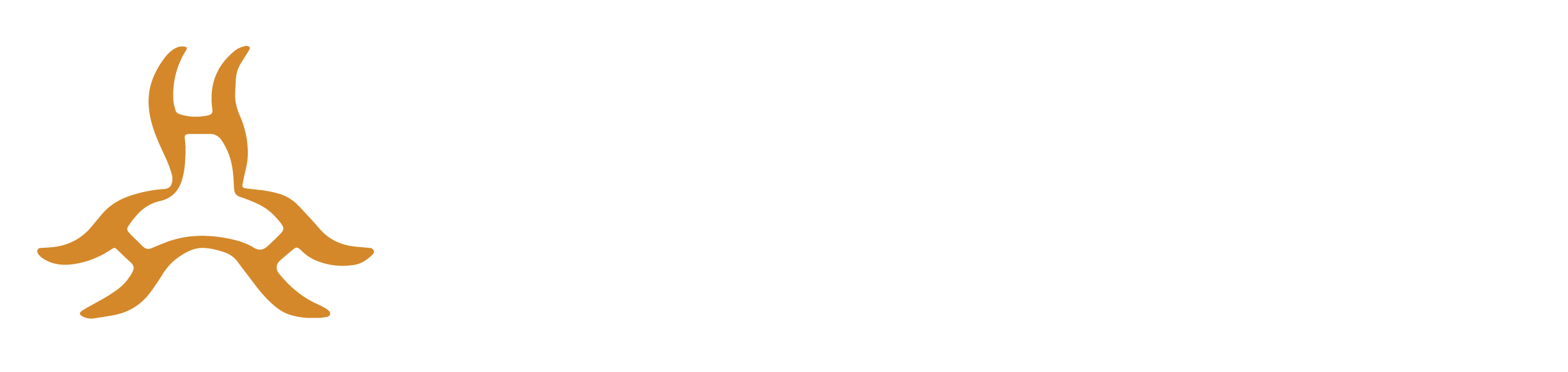 CCP logo