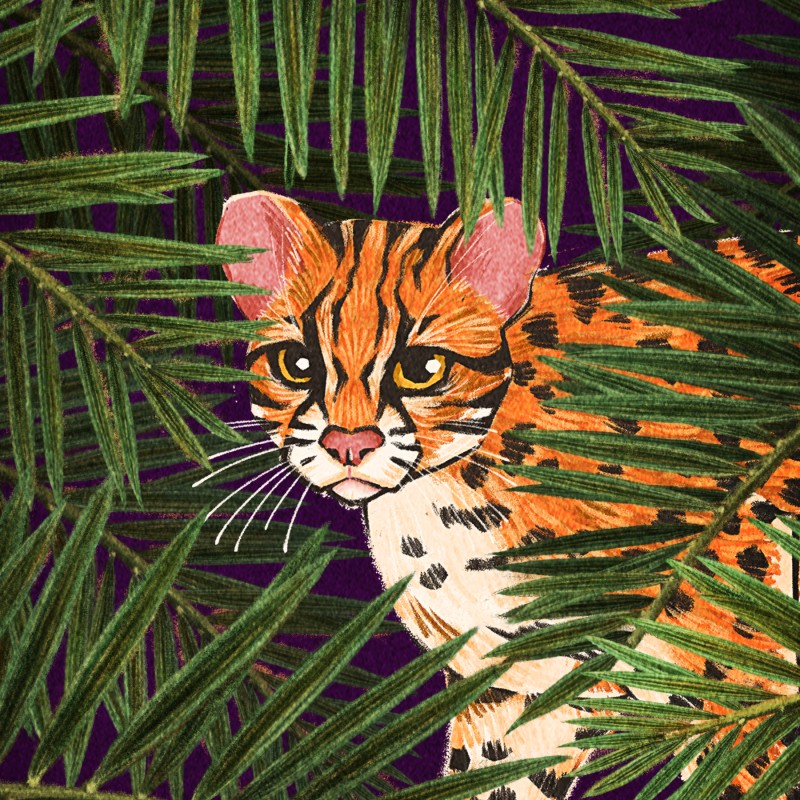 Carlos Rafael Ahorro