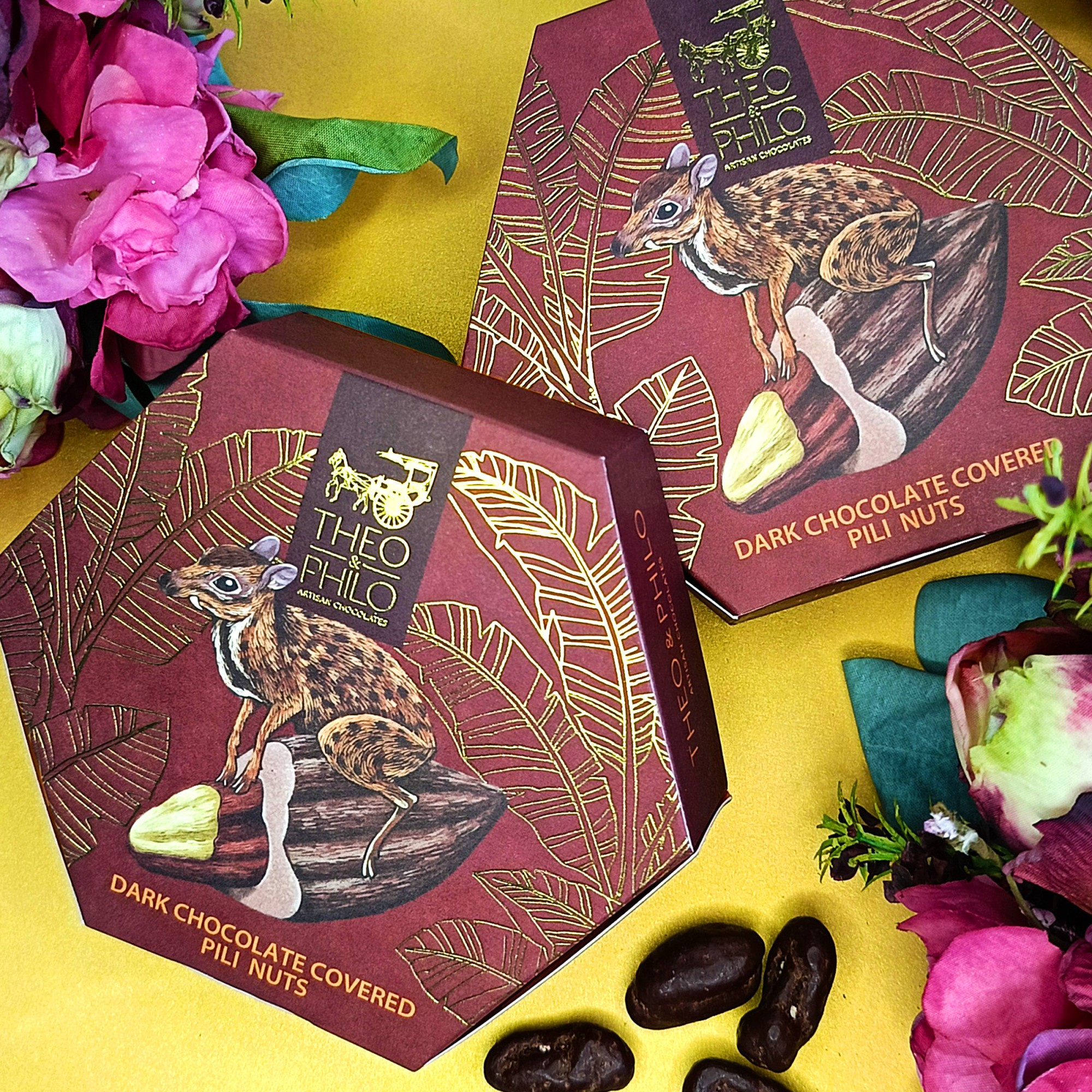 Theo & Philo: Dark Chocolate Covered Pili Nuts